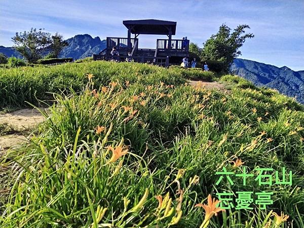 1661415190881_調整大小.jpg