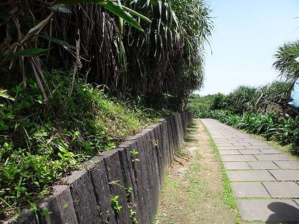 DSC09548_調整大小.JPG