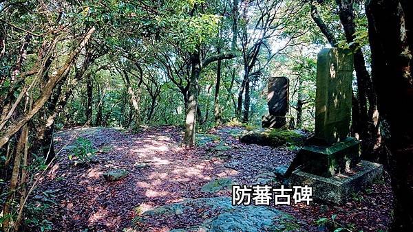 1690278533189_調整大小.jpg