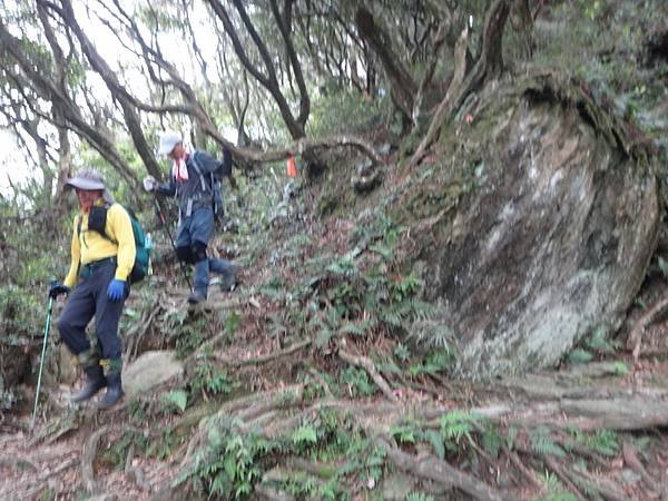 DSC03347_調整大小.JPG