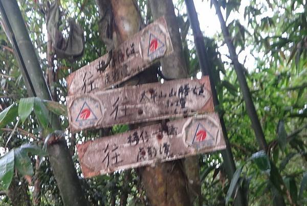 DSC03987_調整大小.JPG