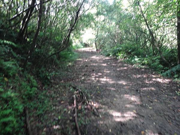 DSC04308_調整大小.JPG
