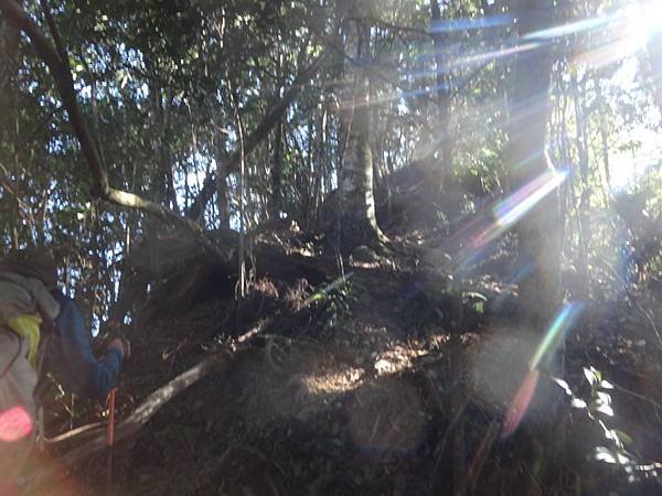 DSC04988_調整大小.JPG