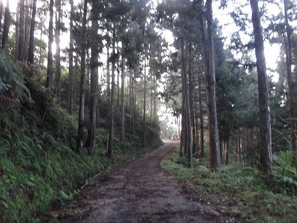 DSC05061_調整大小.JPG