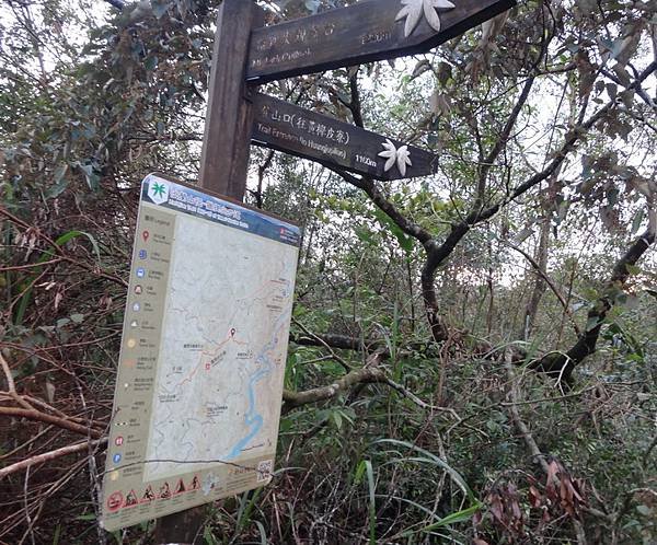 DSC05327_調整大小.JPG