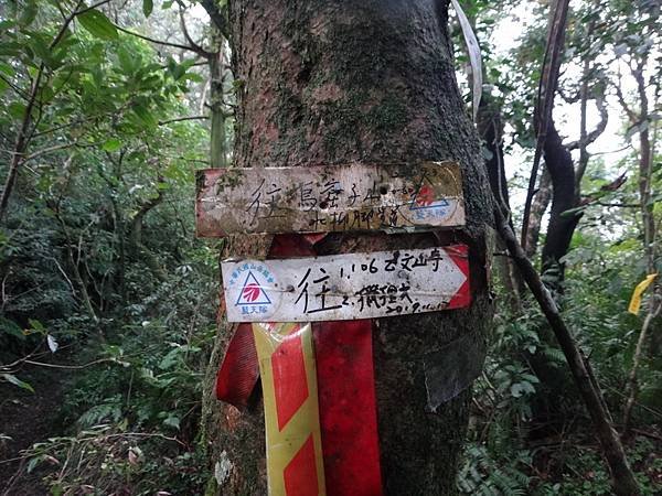 DSC05338_調整大小.JPG