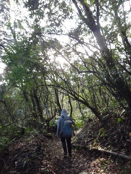 DSC05356_調整大小.JPG