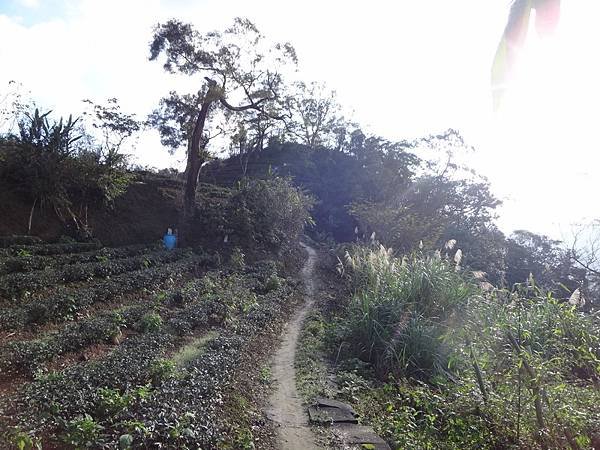 DSC05387_調整大小.JPG
