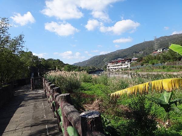 DSC05465_調整大小.JPG