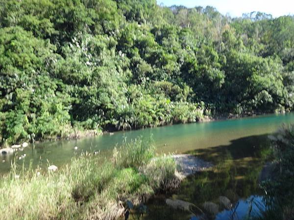 DSC05503_調整大小.JPG