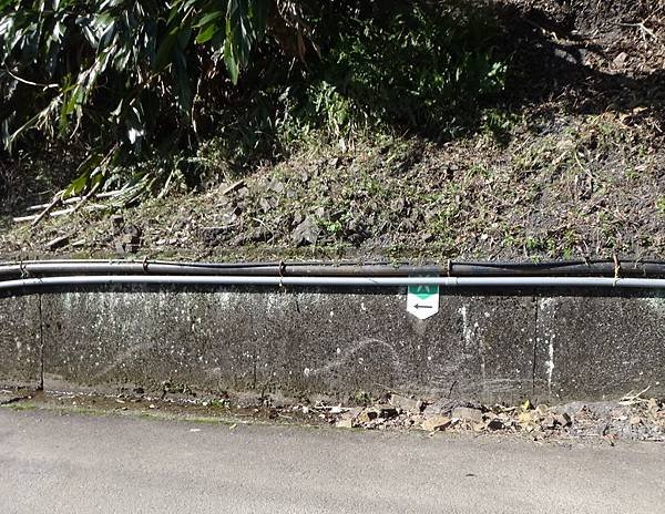 DSC05507_調整大小.JPG