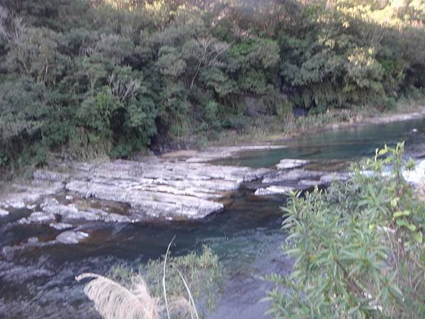 DSC05526_調整大小.JPG