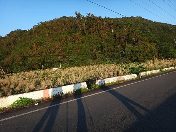 DSC05563_調整大小.JPG