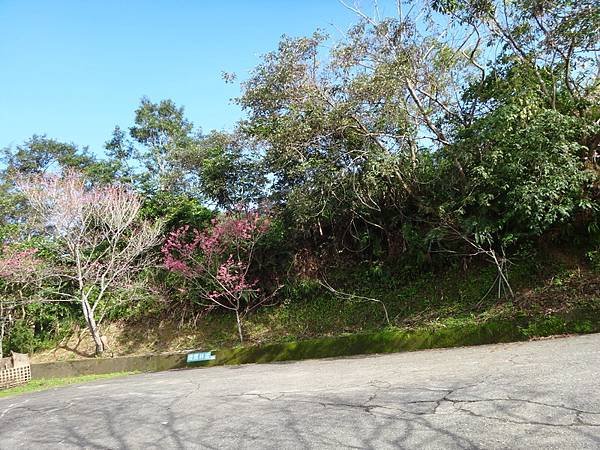 DSC05629_調整大小.JPG