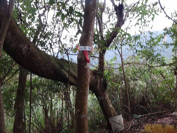 DSC05756_調整大小.JPG