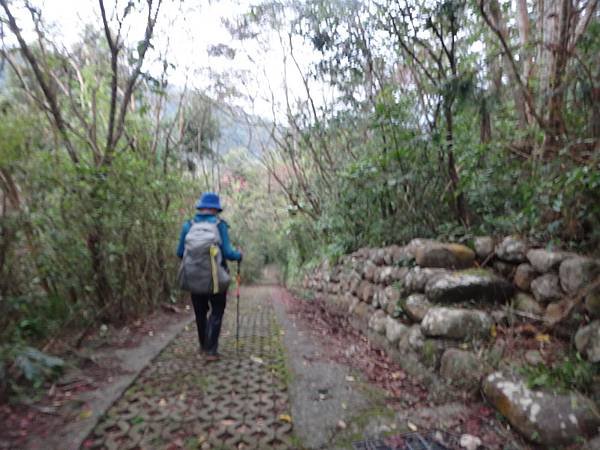 DSC05770_調整大小.JPG