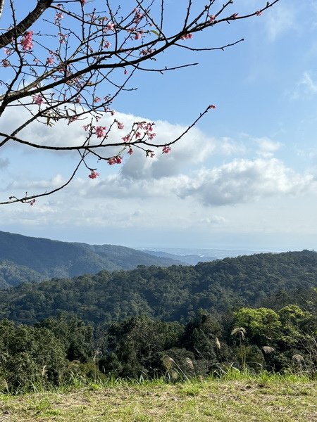 1739939133587_調整大小.jpg