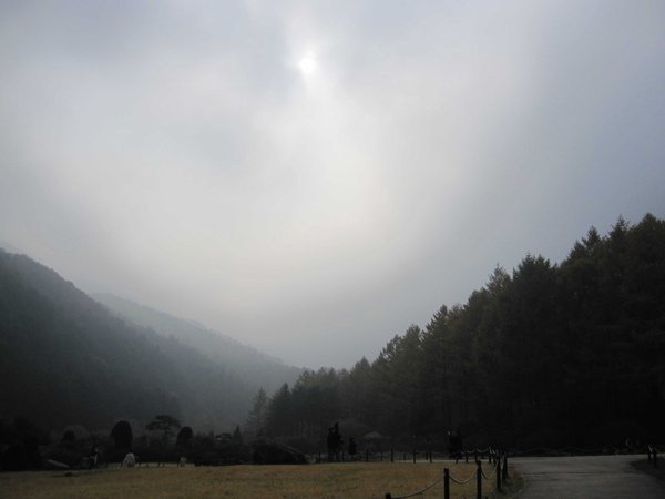 IMG_4645.JPG