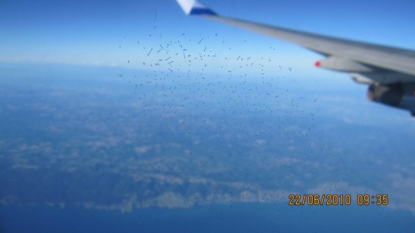 IMG_9093.JPG