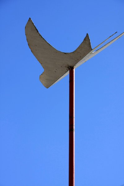 80.jpg