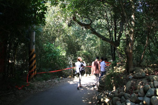 照片 393COPY.jpg