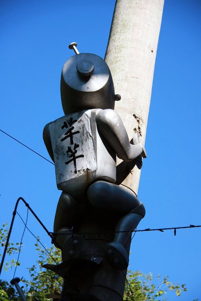 96.jpg