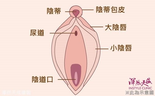 陰蒂.jpg