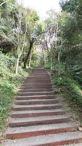 往盟山1166.JPG