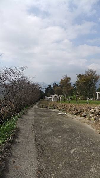 櫻花步道.JPG