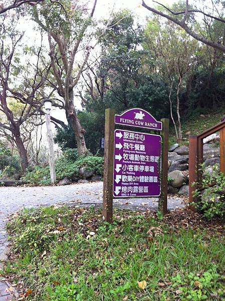 指標.JPG