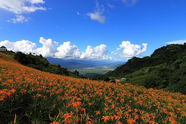 IMG_9090_大小.JPG