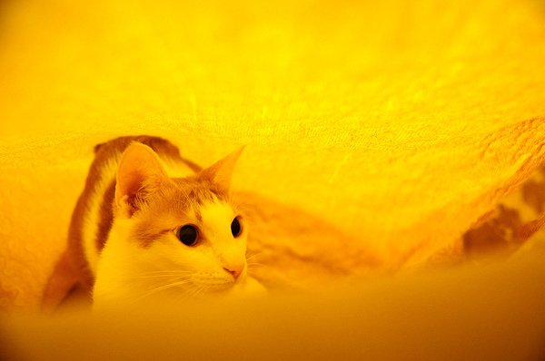 DSC_1979.JPG
