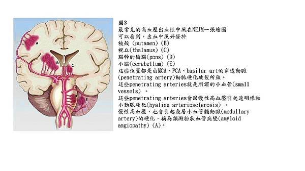 投影片3.JPG