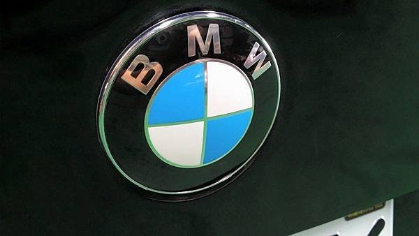 BMW LOGO