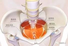 下載 (8).jpg