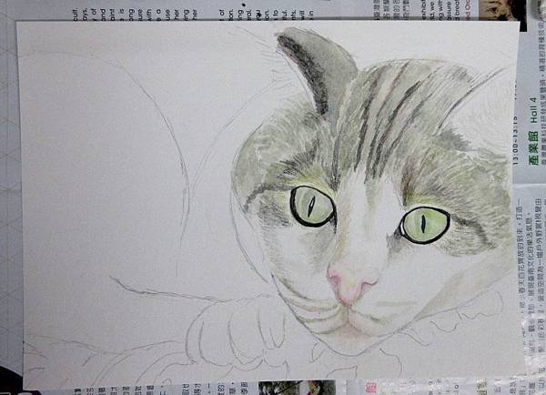 wip 2 cat