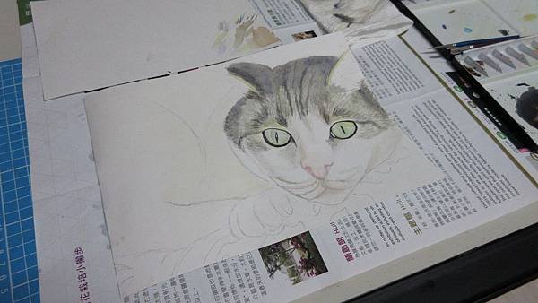 wip 3 cat