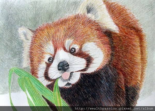 red panda watercolor pencils