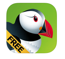 Puffin