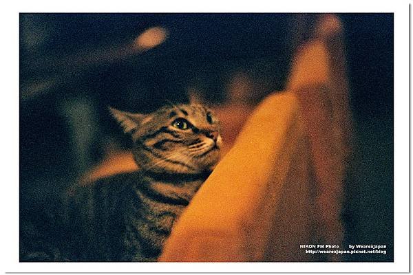 Negative0-28-28(1).jpg