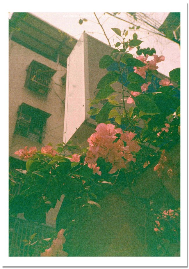 03190018_nEO_IMG_nEO_IMG