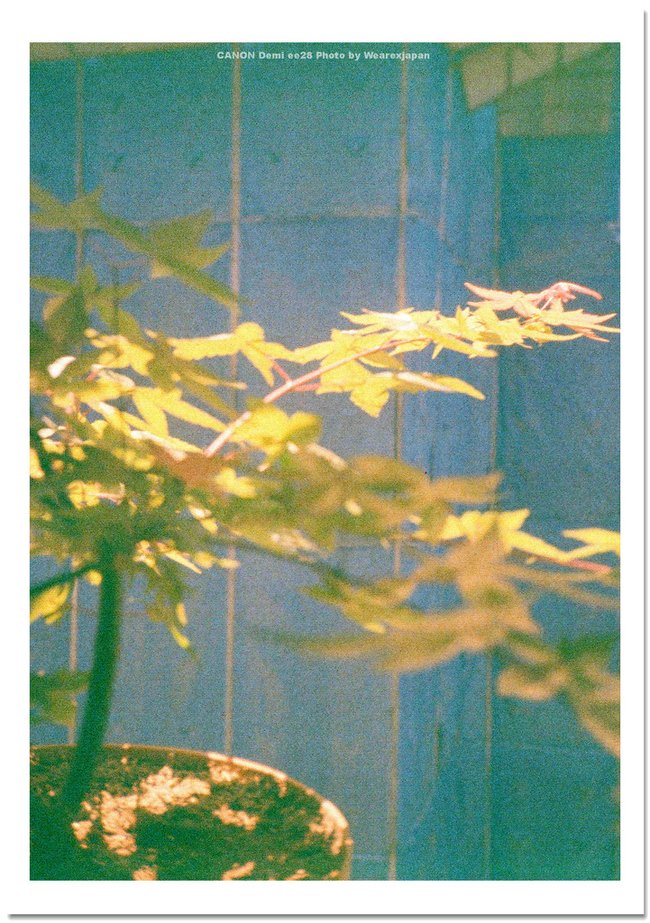 03190053_nEO_IMG_nEO_IMG