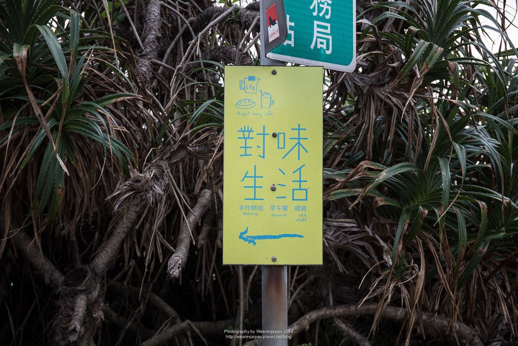 8X1A4334.jpg