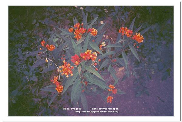 Photo13_16.jpg