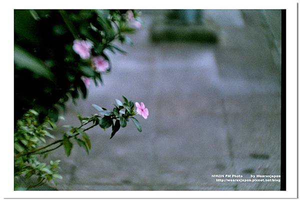 Negative0-04-1A(1).jpg