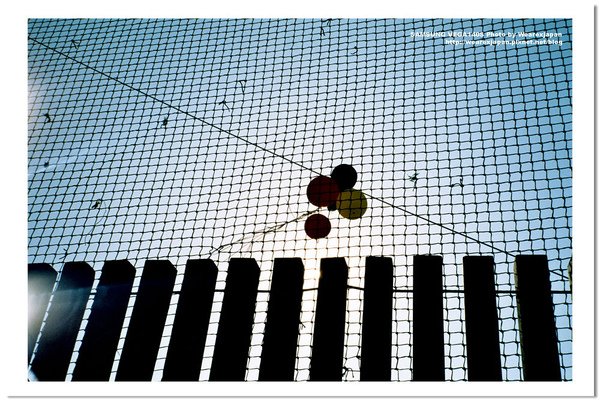 Negative0-35-31(1).jpg