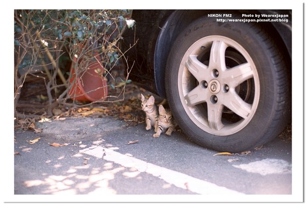Negative0-31-31(1).jpg