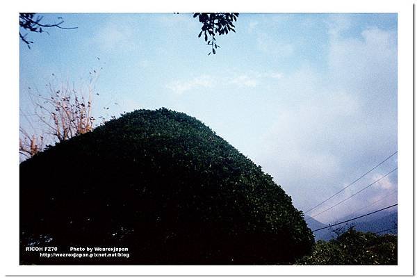 Negative0-26-21(1).jpg