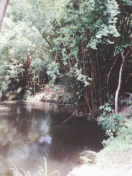 20100808_綠世界_170812_0056.jpg