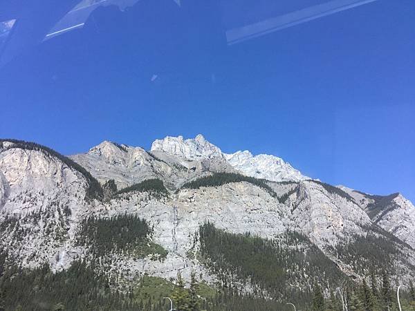 IMG_6984.JPG